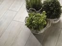 Marazzi Treverkmood