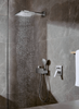 Душевая лейка Hansgrohe Raindance