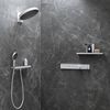 Душевая лейка Hansgrohe Rainfinity - 6