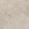 Beige 2.0 R11 Rett. 60x60